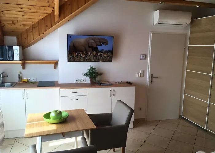 Ajo - Alte Donau Or Garden View Balcony - Self-check-in
